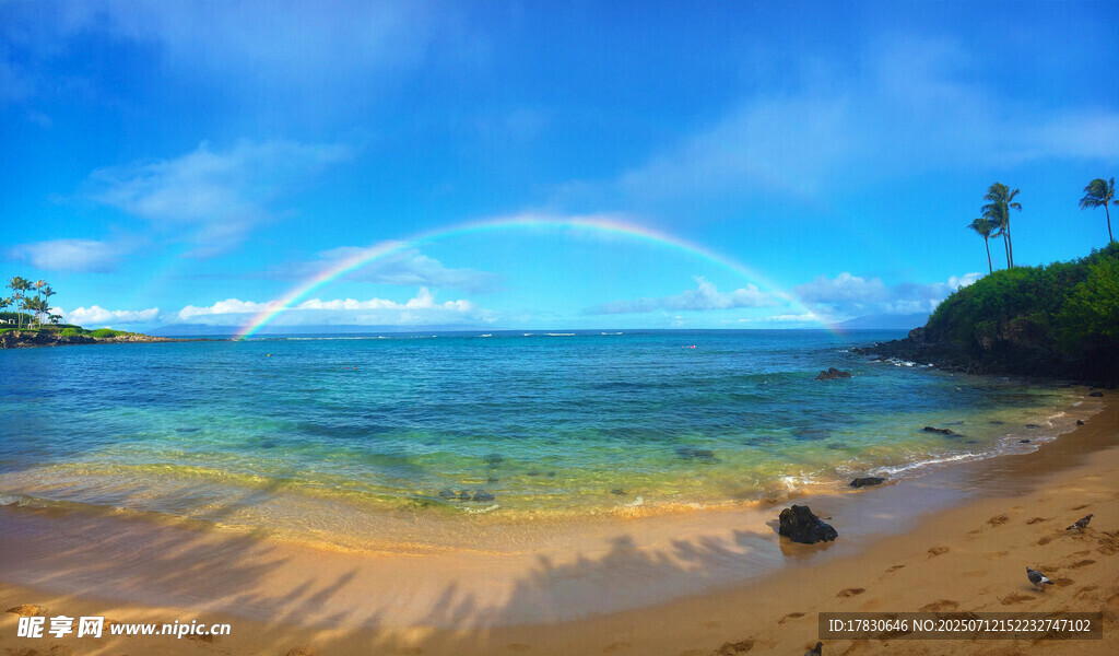 美丽海滨风光