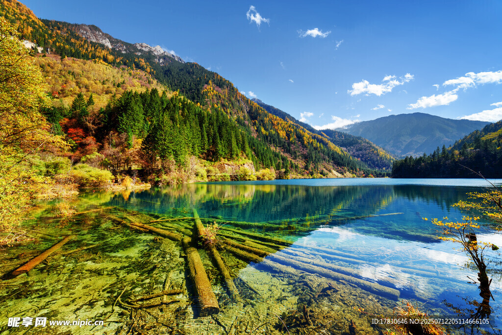 美丽湖景与山间秋色
