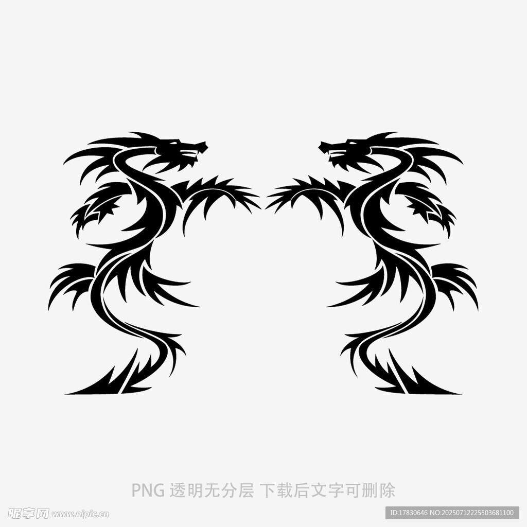 双龙对称图腾图案