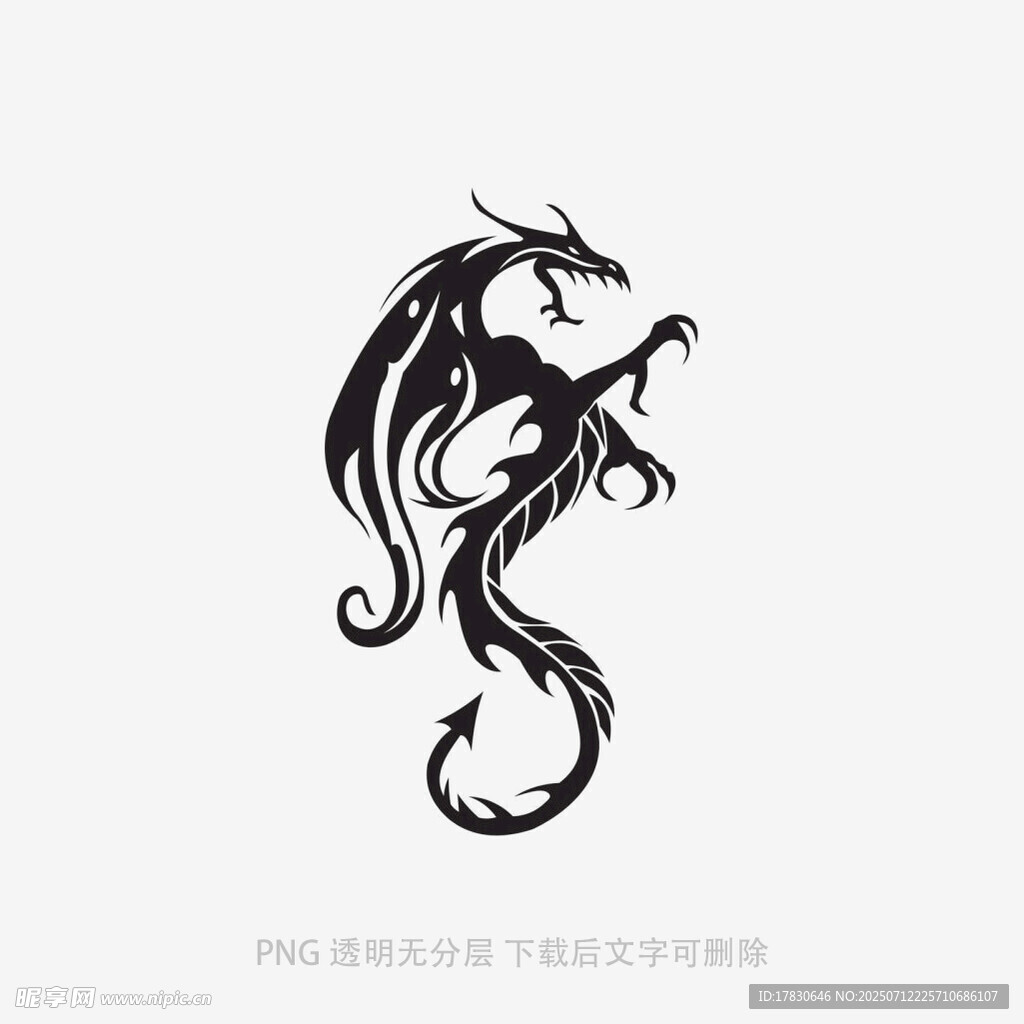 黑色神秘龙形图案