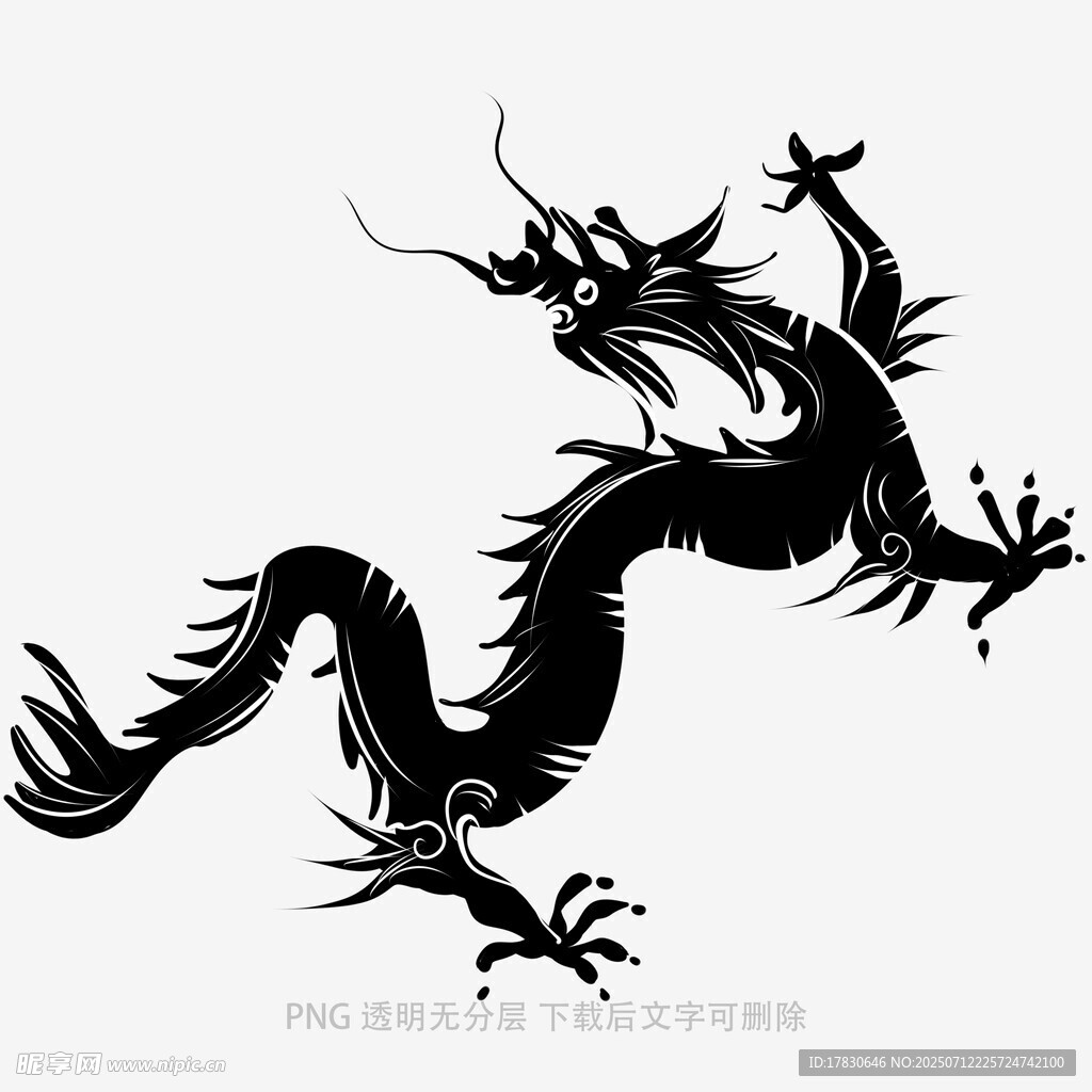 黑色飞龙图案