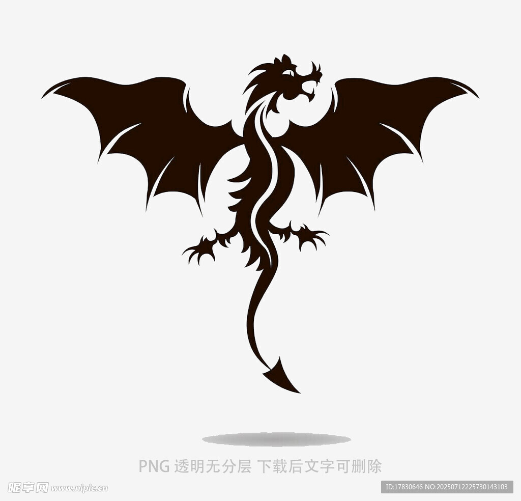 暗黑风格飞龙图案设计