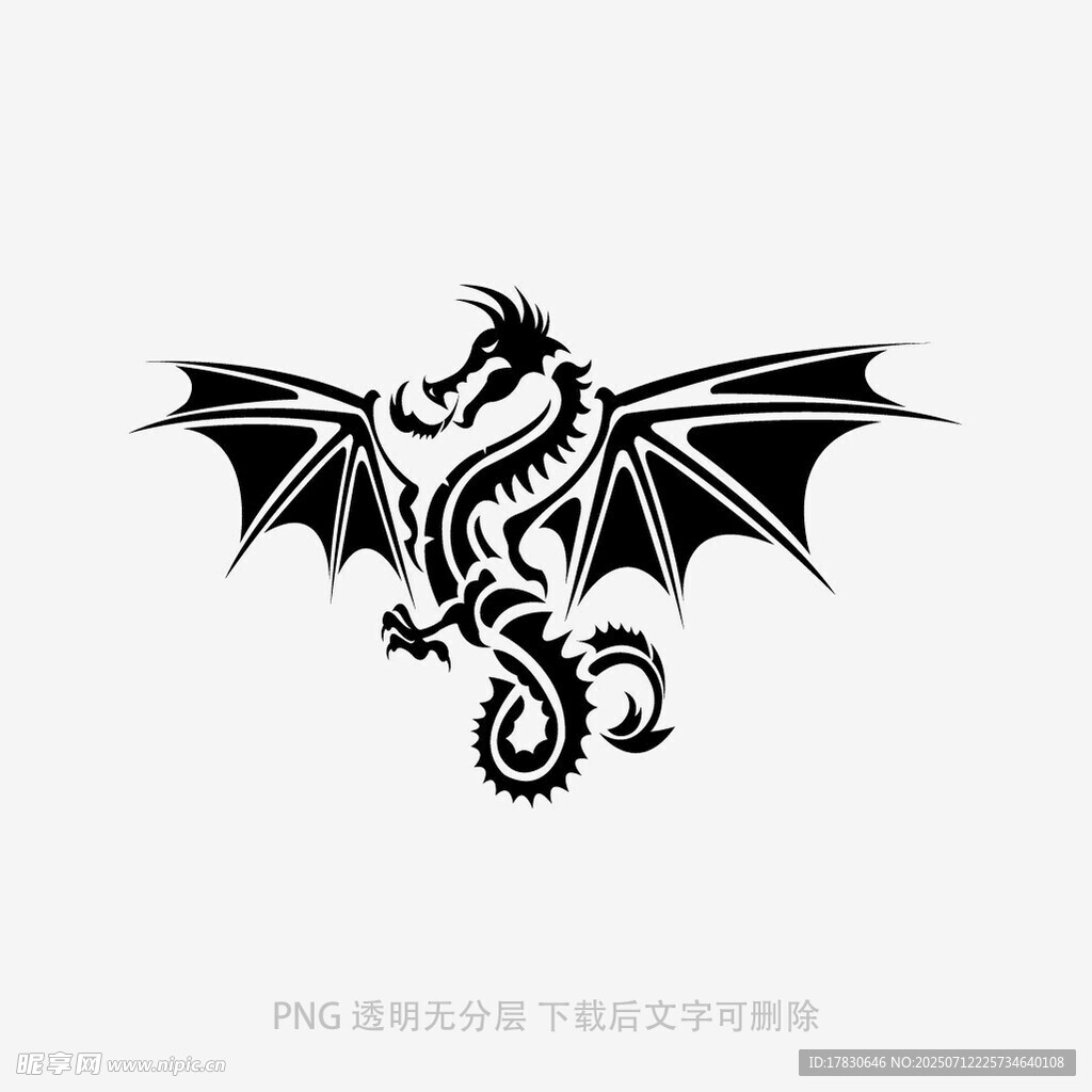 黑色飞龙图案