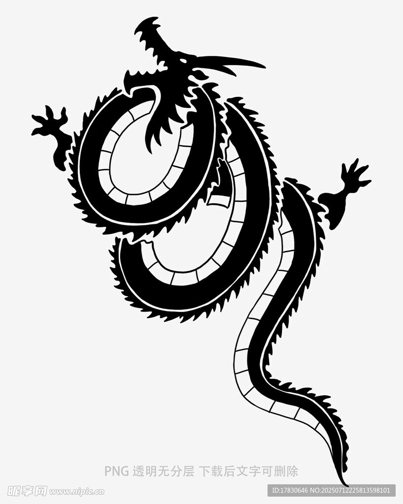 黑白龙形图案设计