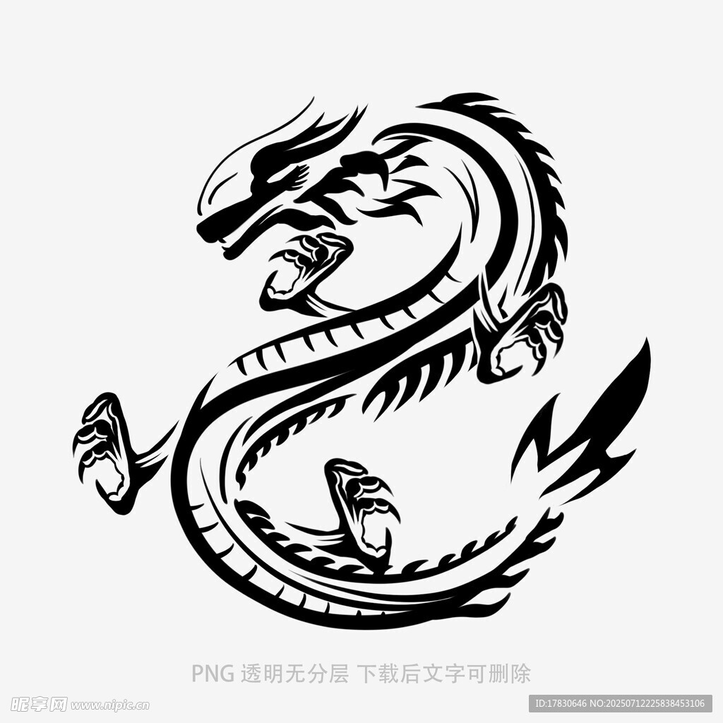 简约黑白龙形图案设计
