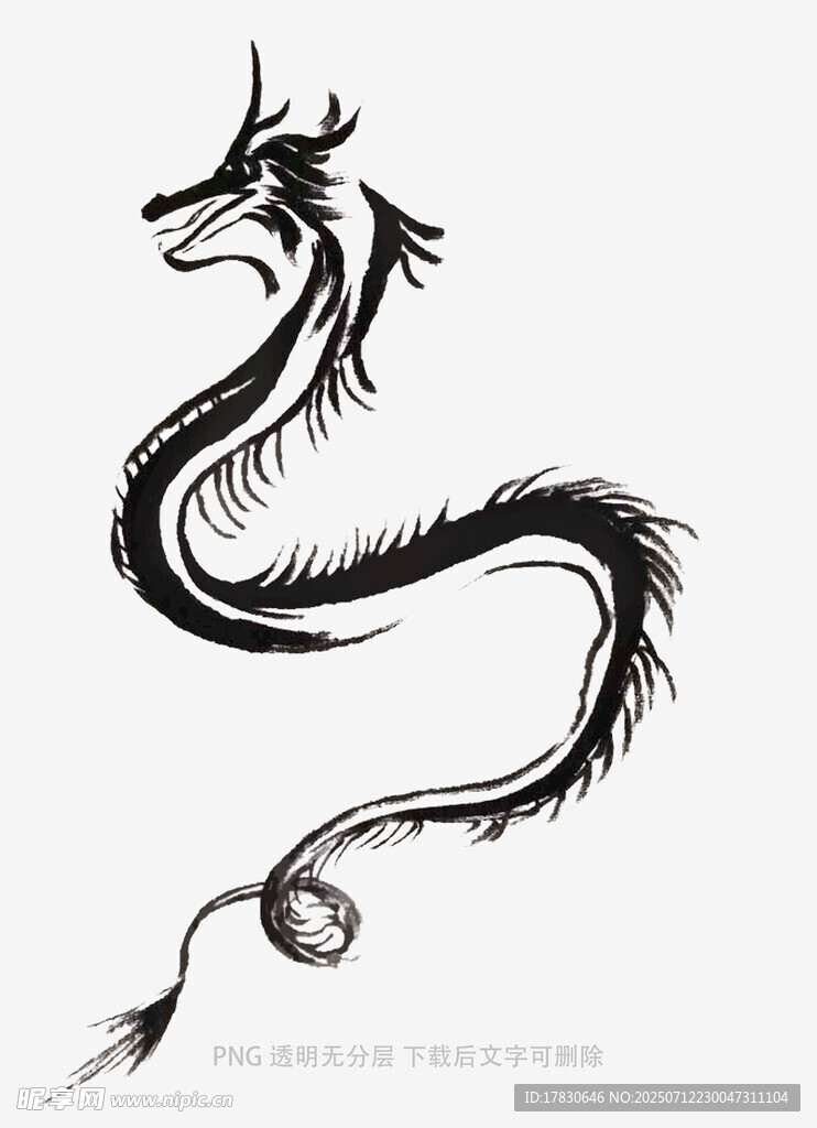 中式传统龙形图案设计