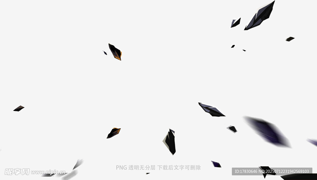 飘落的黑色羽毛
