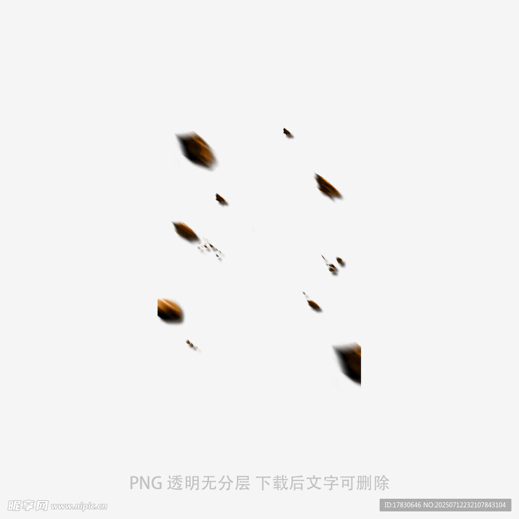 飞舞的棕色羽毛