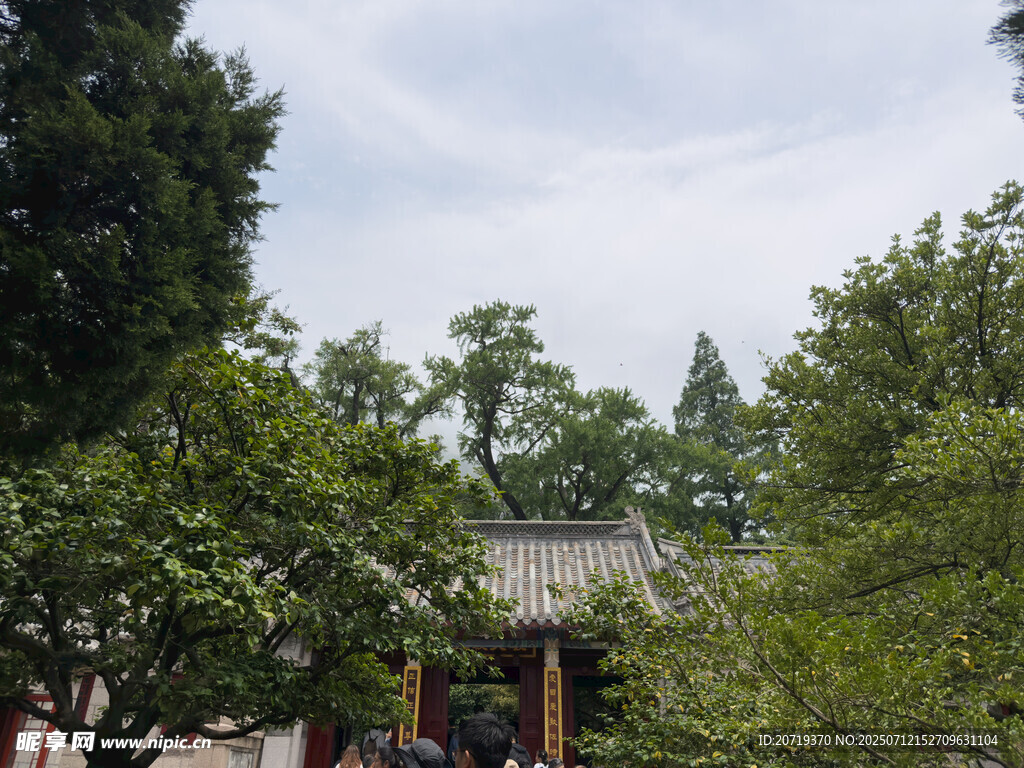林间古建