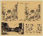 常用包装箱花纹图