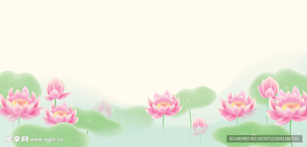 荷花荷叶插图