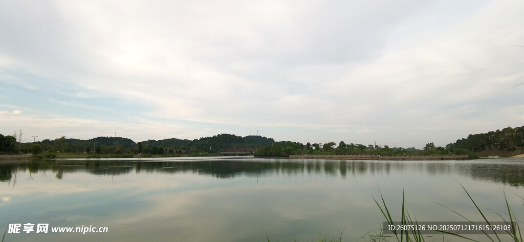 宁静湖畔风光