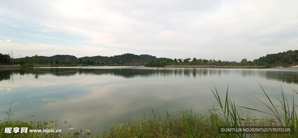 宁静湖畔风光