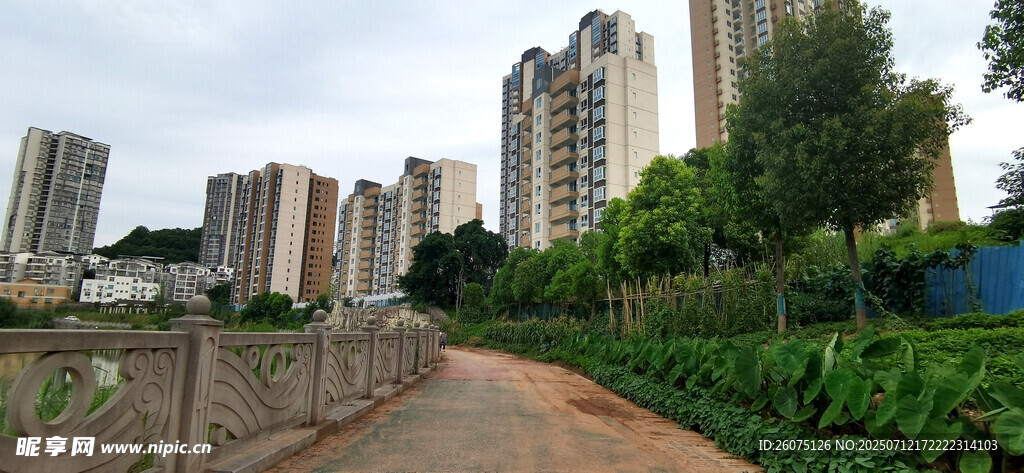 城郊小路旁的高层住宅区