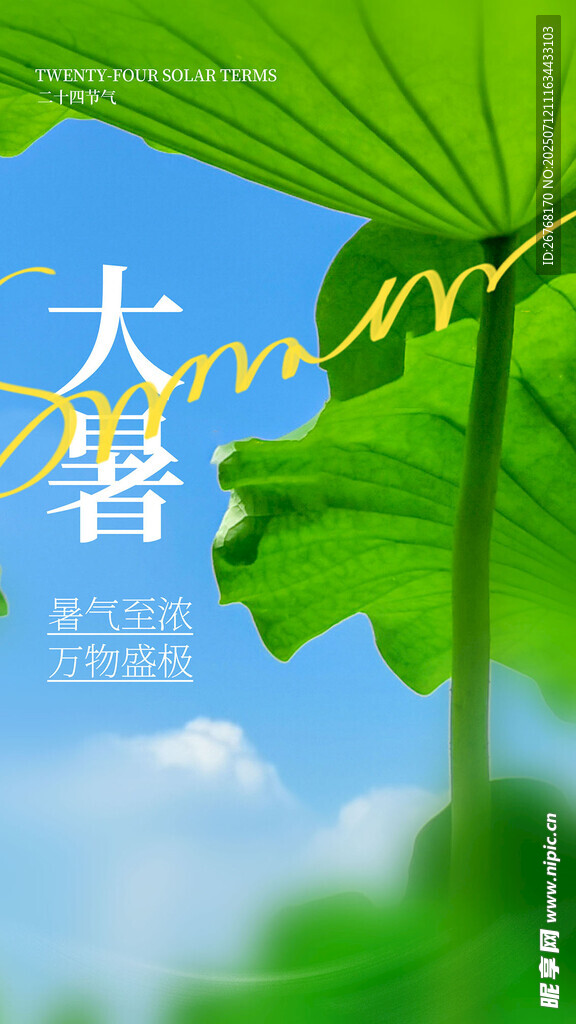 二十四节气大暑海报