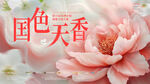 国色天香的娇艳粉色牡丹