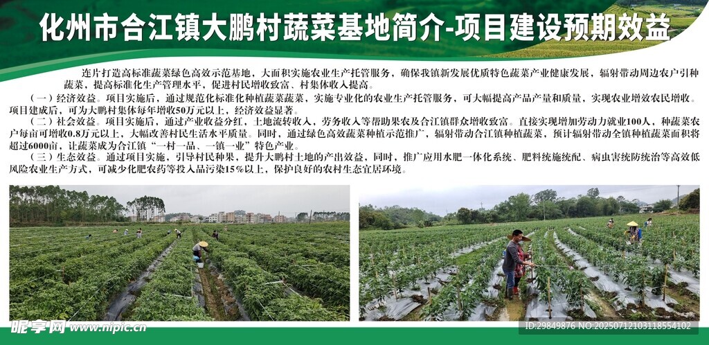 蔬菜基地简介项目建设预期效益