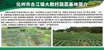 蔬菜基地简介