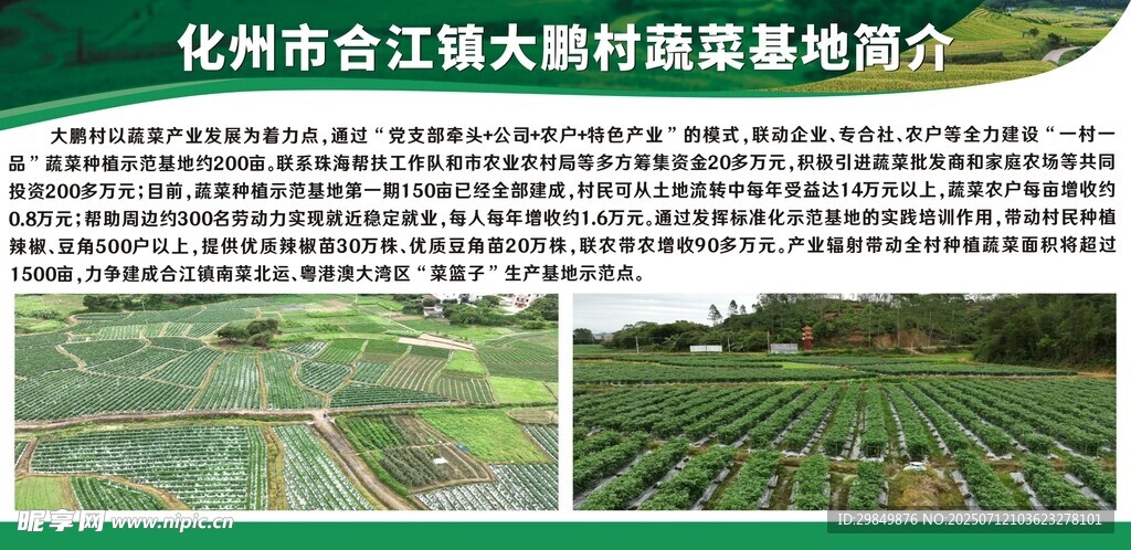 蔬菜基地简介