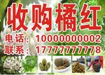 收购橘红广告信息