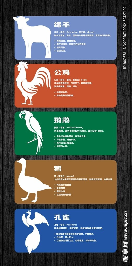 挂牌