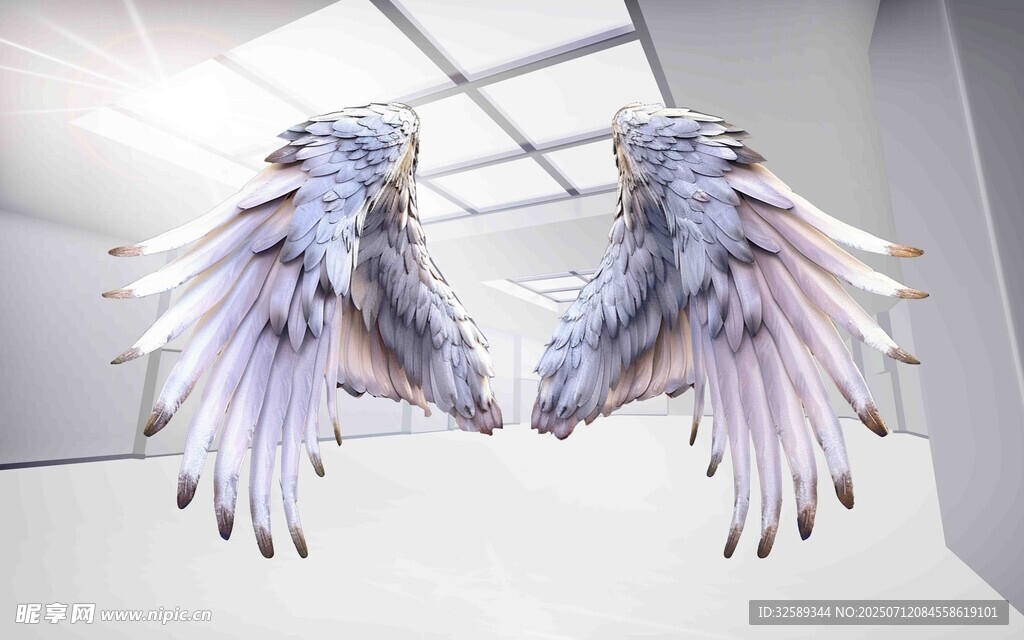 梦幻羽翼展现奇幻之美