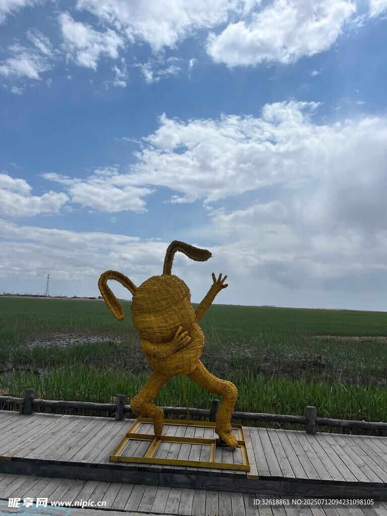 田野