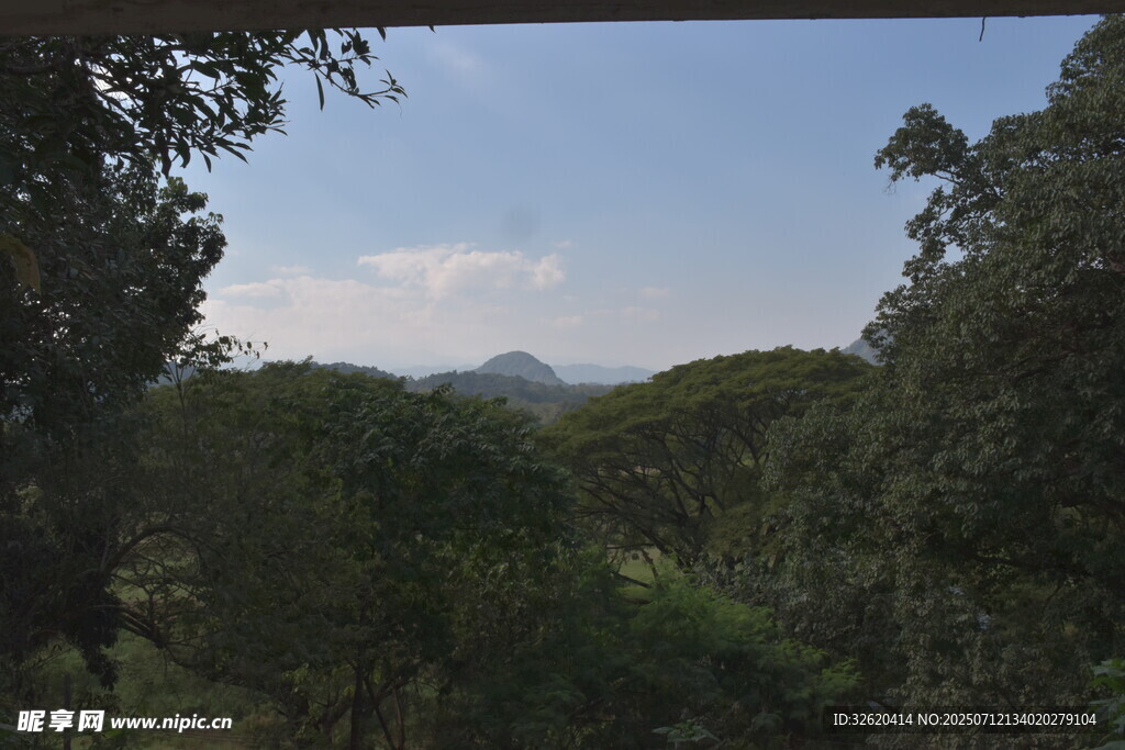 山林间的开阔景致