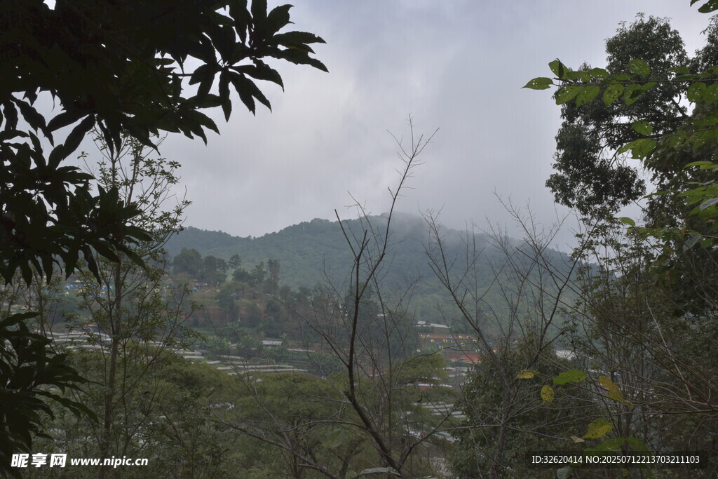 山林云雾景观