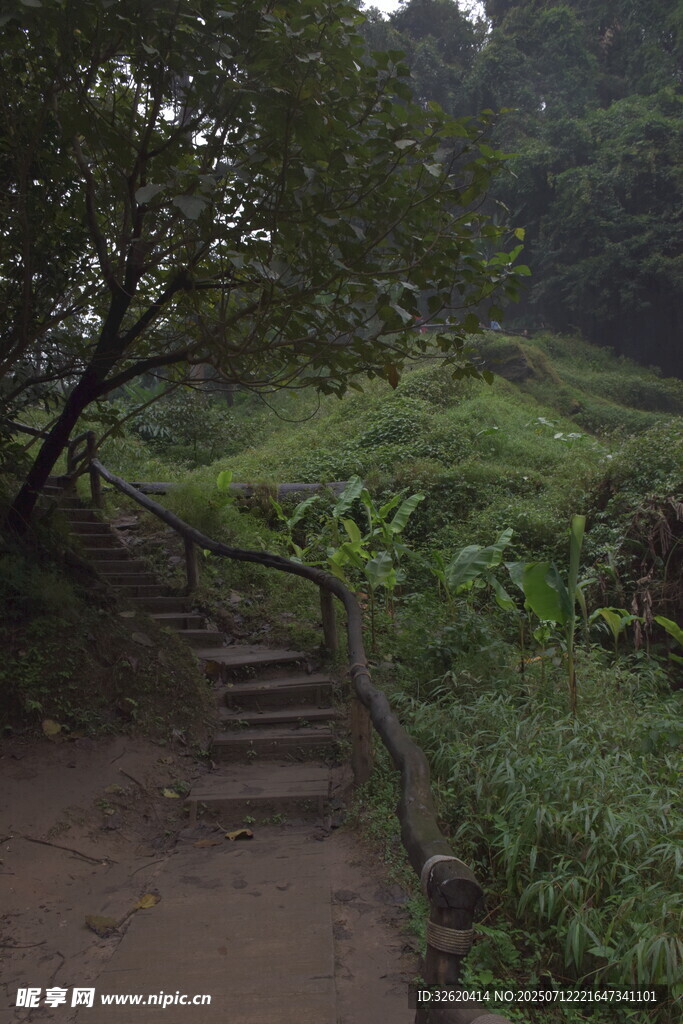 山林间的蜿蜒石阶小径