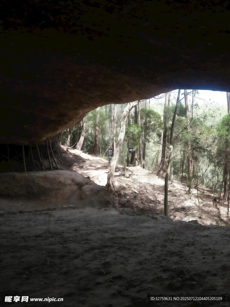 洞穴外的绿意景观