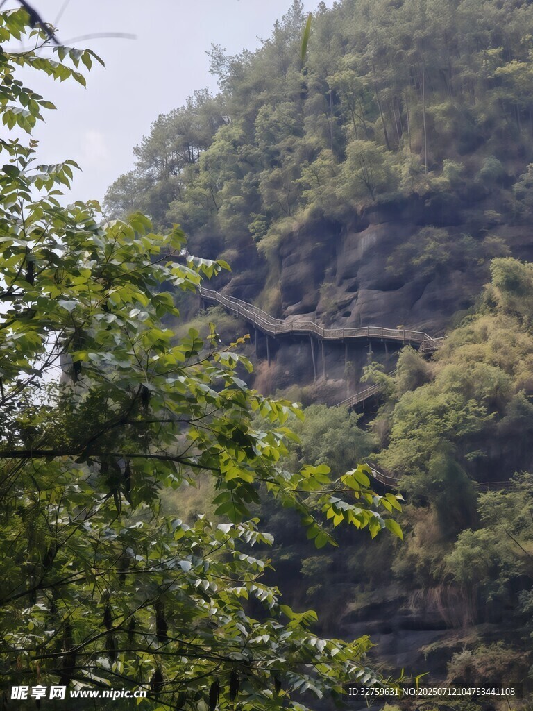 山间栈道隐于葱郁林木间