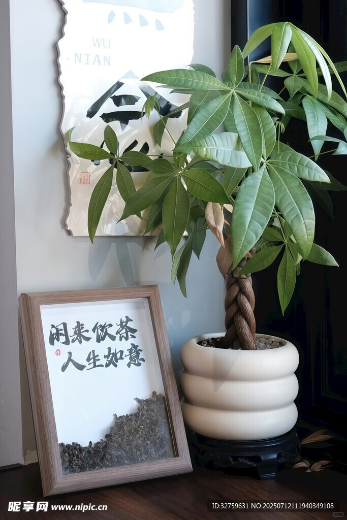 室内绿植与书法摆件