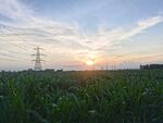田野夕阳下的输电塔景观