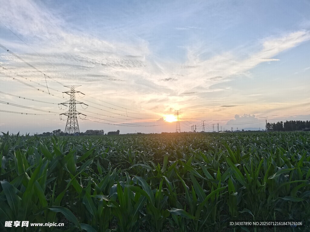 田野夕阳下的输电塔景观