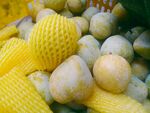 新鲜水果 黄金李