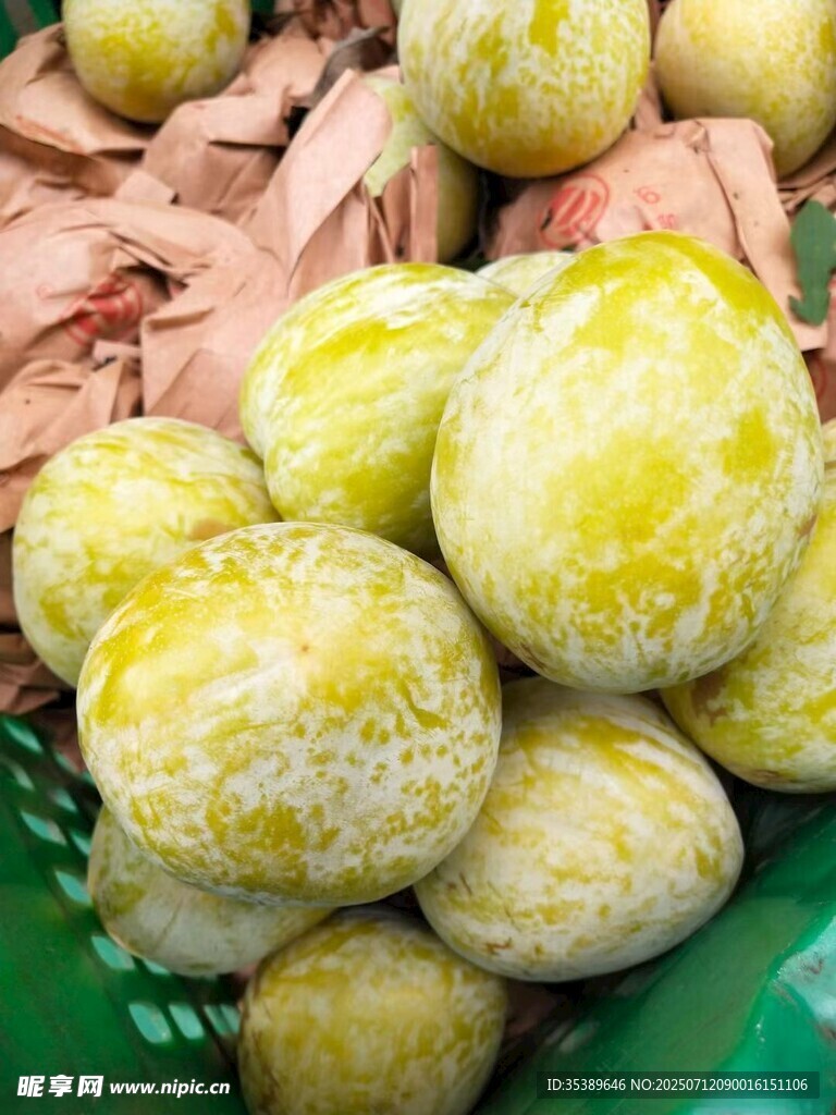 黄金奈李  黄金李