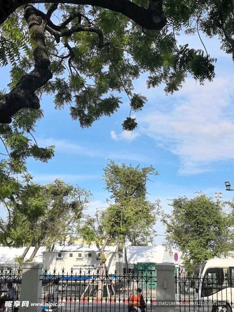 树下街景