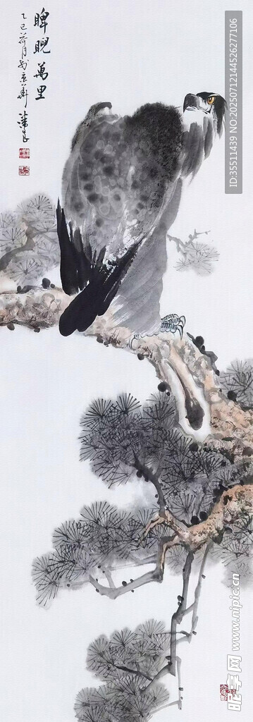 雄鹰
