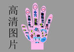 手掌穴位高清示意图