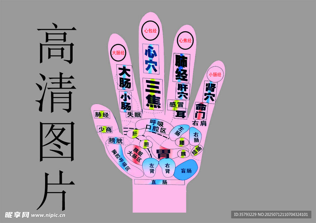 手掌穴位高清示意图