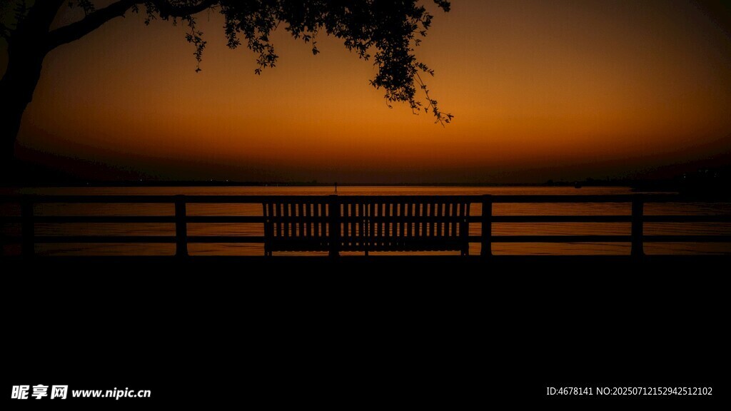 夕阳下的树与围栏美景