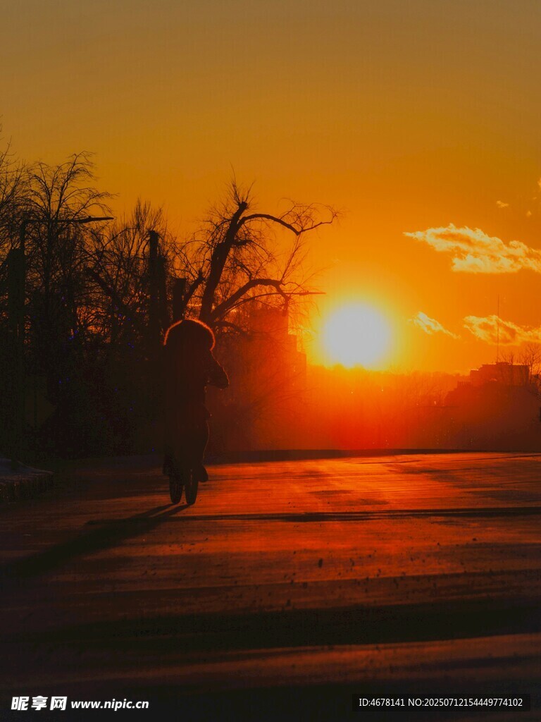 夕阳下的静谧冬日景象