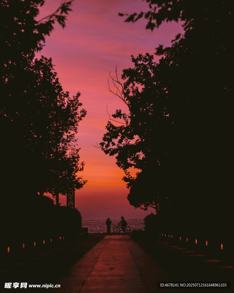 夕阳下的林间小道