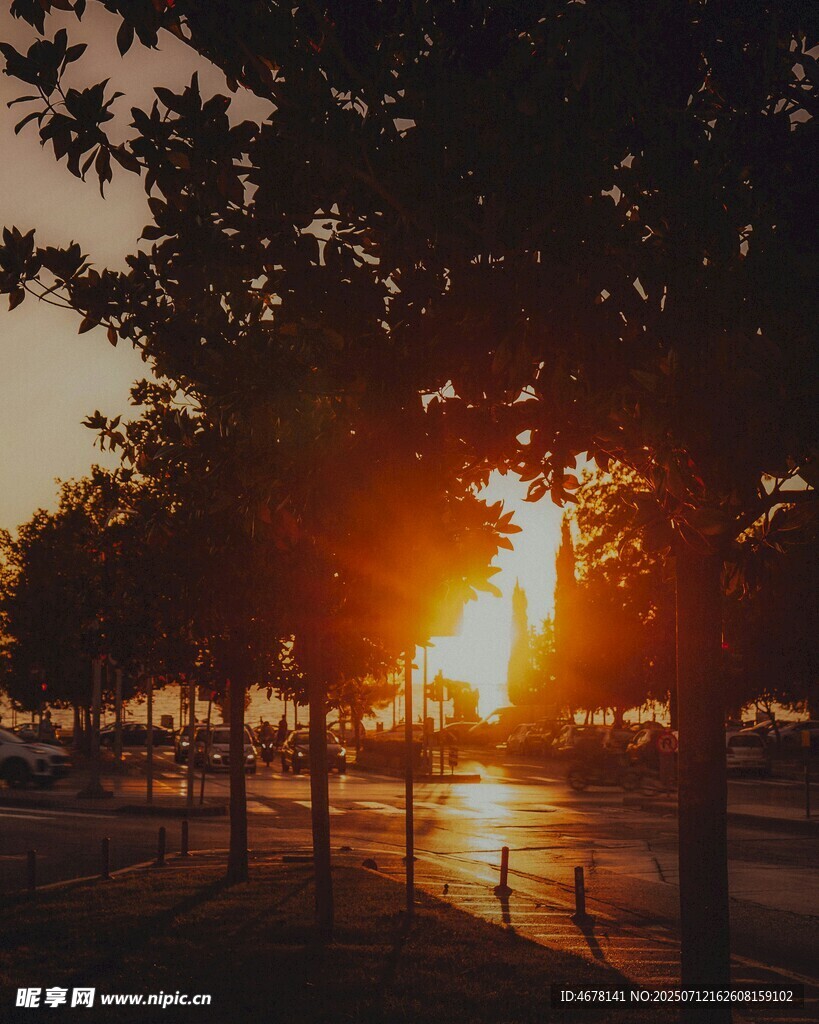 夕阳下的树木与河畔美景