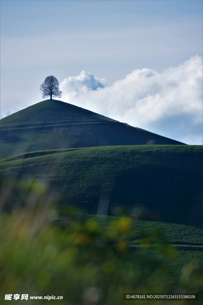 山丘孤树绿野蓝天美景