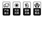 农产品供应链优势展示食品小图