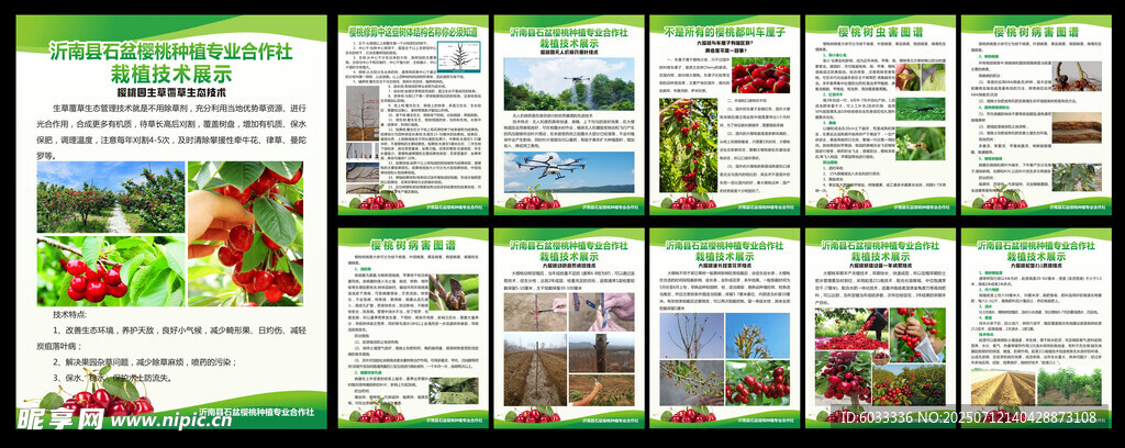 合作社制度牌 樱桃简介