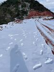 雪地中的红色道路痕迹