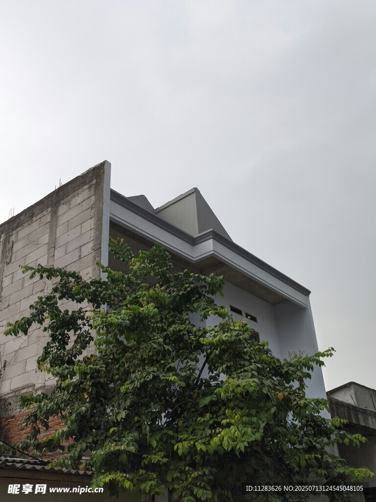 乡村小屋旁的葱郁绿植